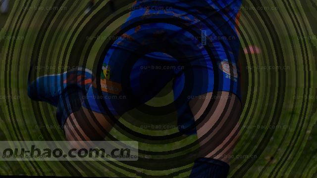 2025战报即时导览
